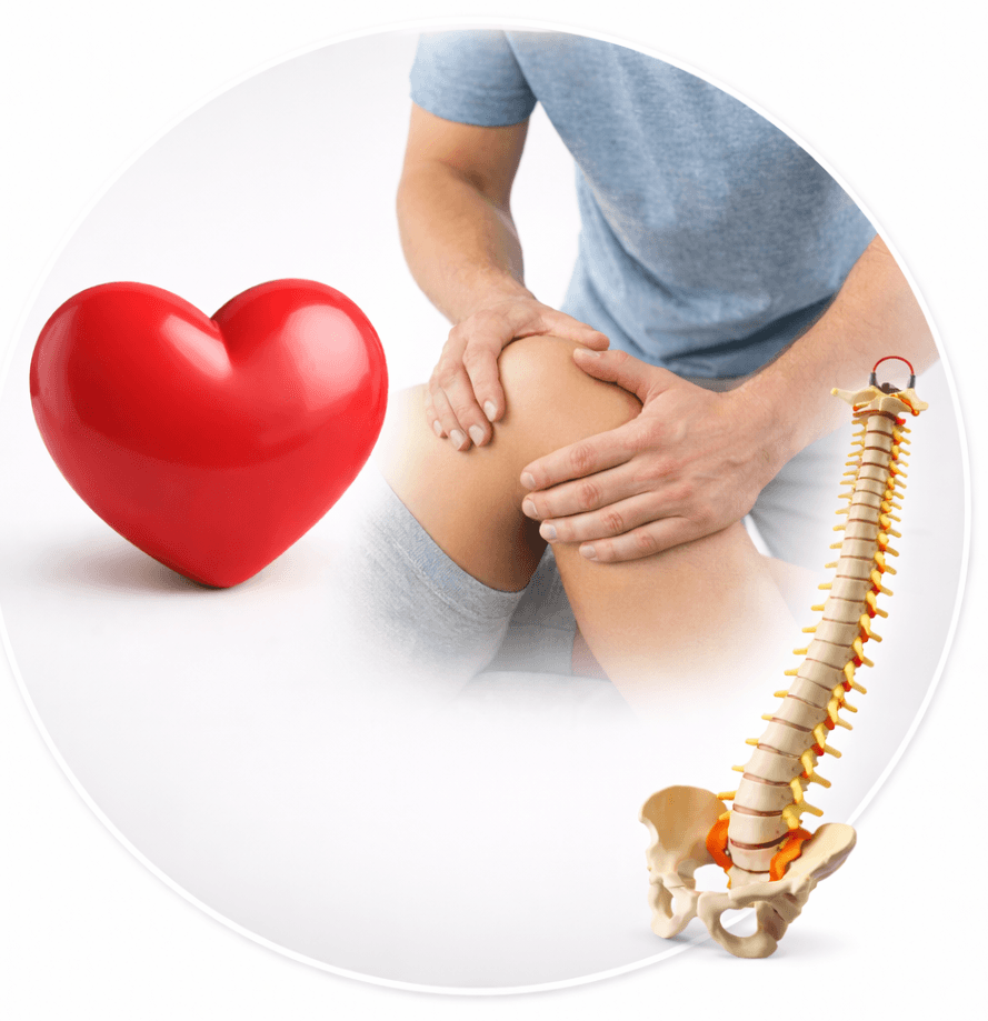 Health & Wellness