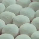 Cream Bun Lip Balm